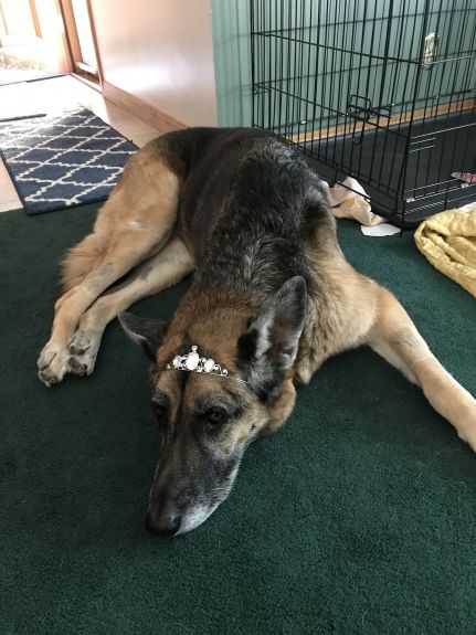 Bella